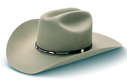 The Hat That Won the West