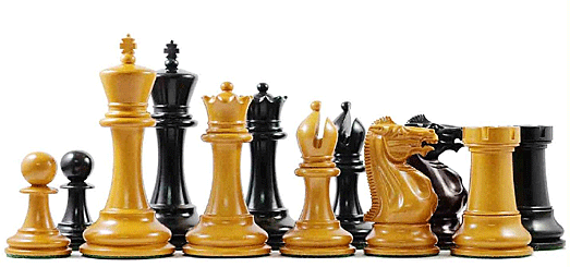 Checkmate!: The Wonderful World of Chess