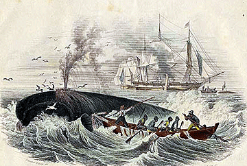 How Nantucket Came to Be the Whaling Capital of the World